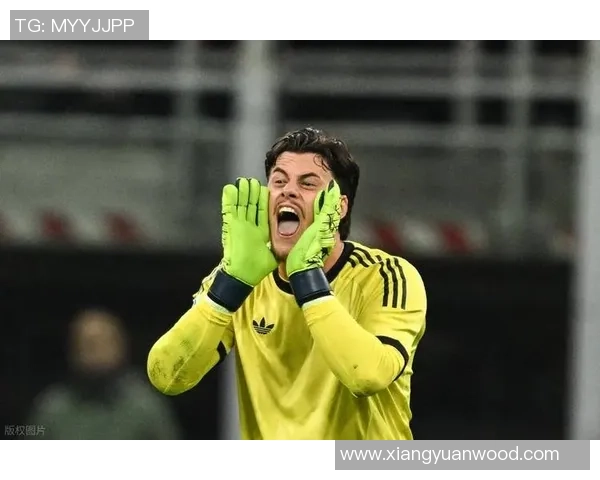 英超与意甲双重对决11月3日桑德兰迎战埃弗顿萨索洛对阵热那亚