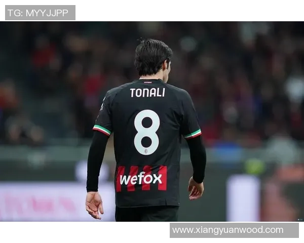 托纳利因伤缺席世预赛将返回纽卡进行康复治疗 托纳利因伤缺席世预赛将返回纽卡进行康复治疗